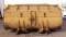 41445-96in Loader Bucket-6