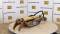 50782-Jones Hydraulic Thumb-3