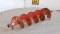 ATCNSN1-8%22 Auger Bit-3
