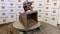 51262-42%22 Komatsu PC40 Tilt Bucket-1
