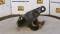 51603-Cat 420D Wain-Roy Coupler-1