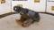 51603-Cat 420D Wain-Roy Coupler-2