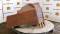 51484-75%22 x 12%22 trapezoid Wain-Roy bucket-6