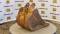 51685-24%22 JD 310SG Bucket-5
