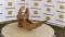 51725-8%22 JD 310SG Cribbing Bucket-2
