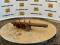 51775-12%22 McMillen Auger Bit-4