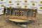 51637-60%22 Skid Steer Skeleton Bucket-5