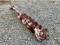 51734-12%22 Pengo Auger Bit-4