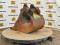 51760-24%22 Cat 308 Bucket-4