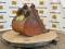 51760-24%22 Cat 308 Bucket-5