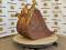 51870-30%22 CAT Wedge Bucket-5