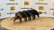 51899-12%22 Auger Bit-2