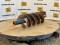 51899-12%22 Auger Bit-4