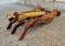 51765-PSM Hydraulic Thumb-2
