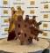 60483-Cat 420D American Compaction Wheel-1