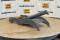 52101-Strickland Hydraulic Thumb-1