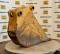 52195-18%22 Cat 312 Bucket-5