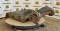 60505-TAG Thumb Body-3