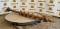 52169-8%22 Pengo Auger Bit-1